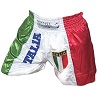 FIGHTERS - Shorts de Muay Thai / Italie / Stemma