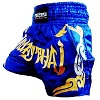 FIGHTERS - Muay Thai Shorts / Muay Thai Blue Gold