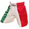 FIGHT-FIT - Muay Thai Shorts / Italien / Tri Colore